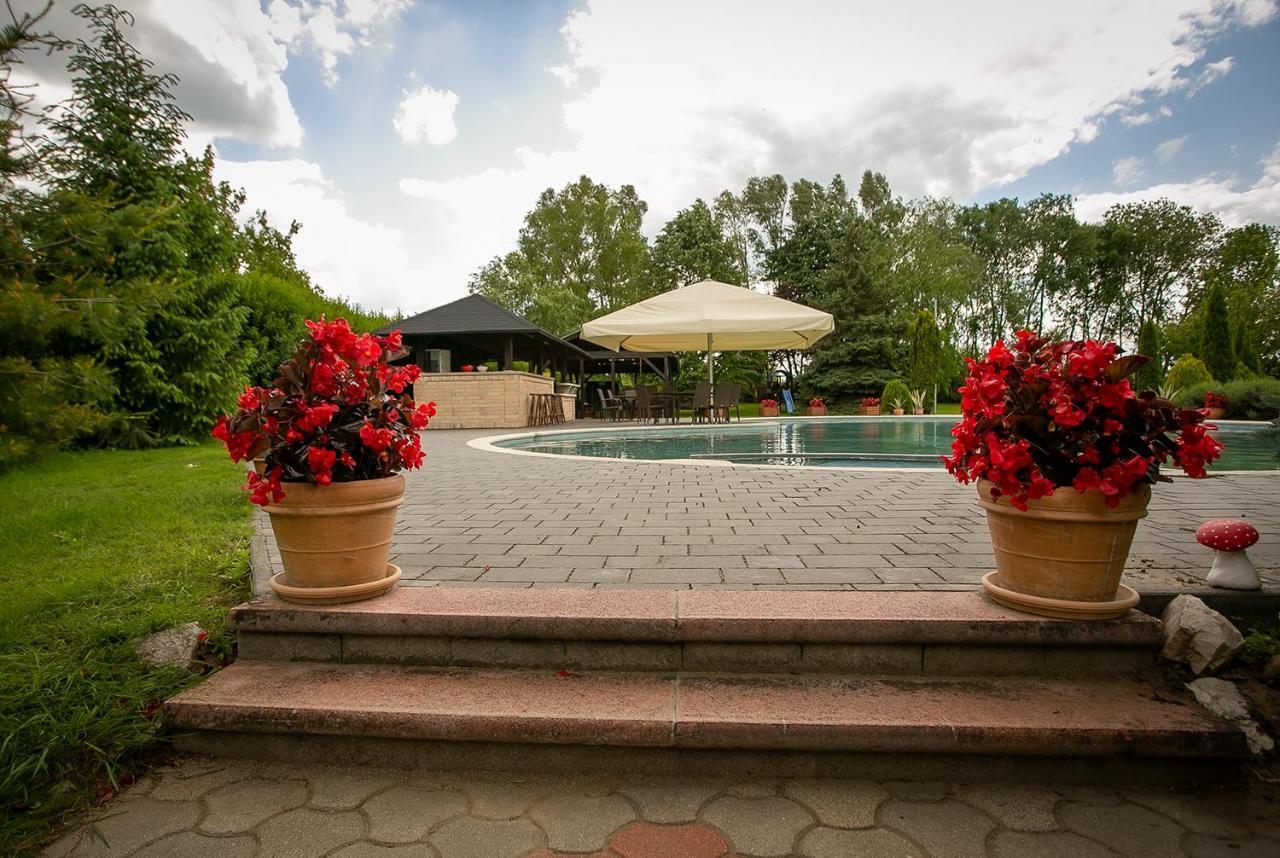 Villa Forras Vendeghaz Dunaegyhaza Exterior foto