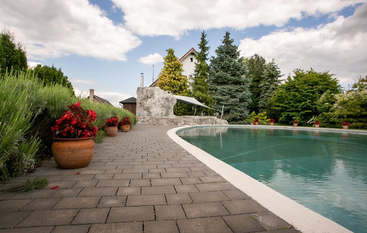 Villa Forras Vendeghaz Dunaegyhaza Exterior foto