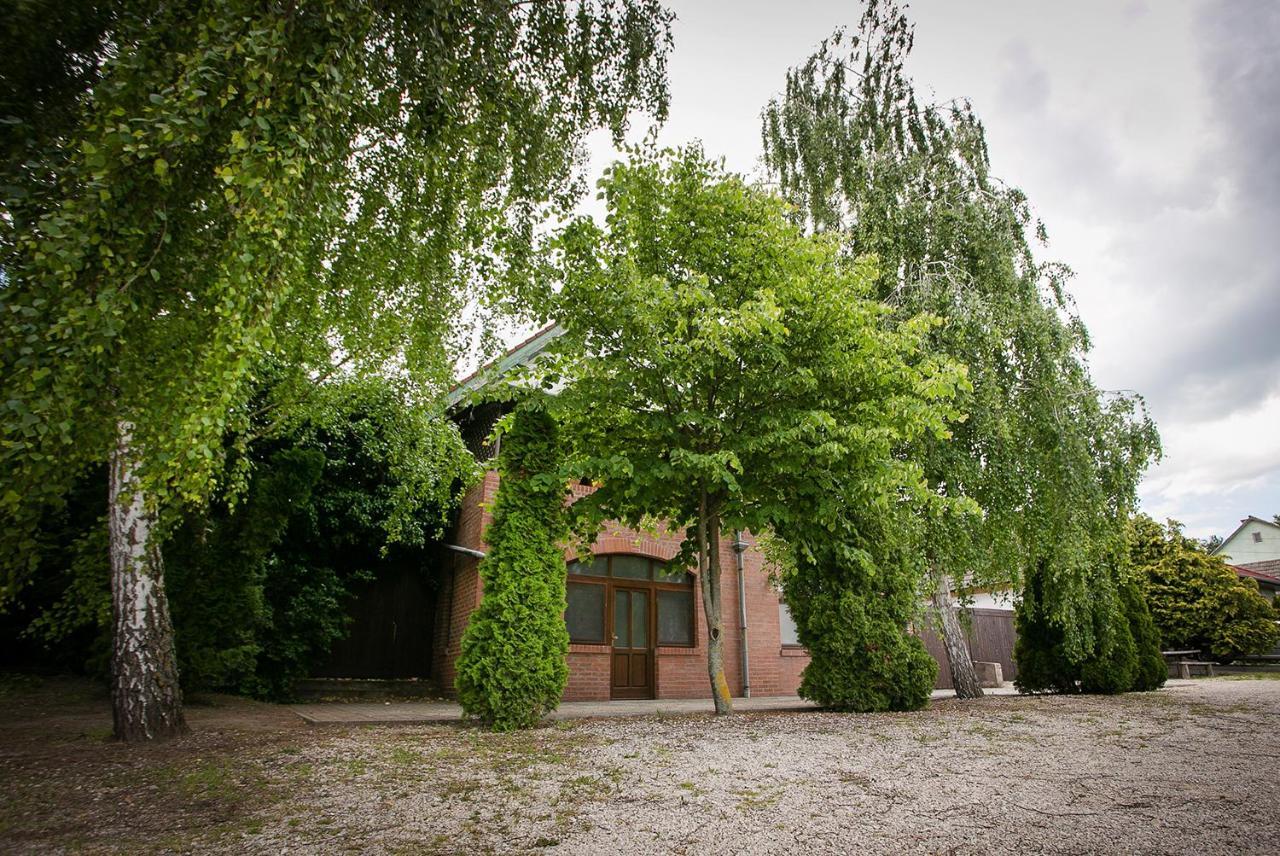 Villa Forras Vendeghaz Dunaegyhaza Exterior foto